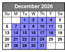 Private 3 Hour Powerboat Dolphin Cruise with Remote Beach Stop Up to 6 Guests December Schedule