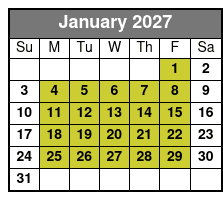 Private 3 Hour Powerboat Dolphin Cruise with Remote Beach Stop Up to 6 Guests January Schedule