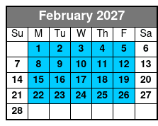 Private 3 Hour Powerboat Dolphin Cruise with Remote Beach Stop Up to 6 Guests February Schedule