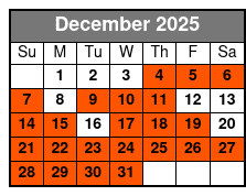 Island Sunset and Skyway Light Show in St. Petersburg December Schedule