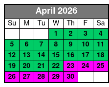 Island Sunset and Skyway Light Show in St. Petersburg April Schedule
