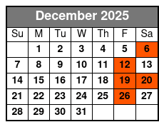 St. Pete Winter Booze Cruise December Schedule