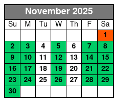 St. Pete Dolphin Watching and Shelling Adventure November Schedule
