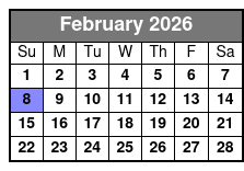 St. Pete Dolphin Watching and Shelling Adventure February Schedule
