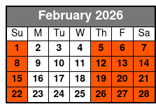 Tampa Bar Crawl on a 2023 Street Legal Golf Cart February Schedule