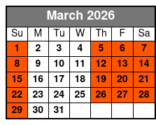 Tampa Bar Crawl on a 2023 Street Legal Golf Cart March Schedule