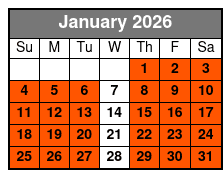 Private 4 Hr Boat Tour January Schedule