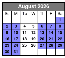 Immersive Art & Technology Museum in St. Pete August Schedule