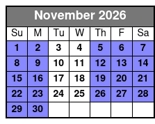 Immersive Art & Technology Museum in St. Pete November Schedule