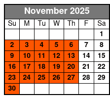 Sandbar & Island Hopping with Dolphins in Madeira Beach November Schedule