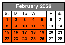 Sandbar & Island Hopping with Dolphins in Madeira Beach February Schedule