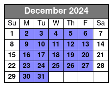 Mini-Boat Rental December Schedule