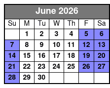 Make Your Own Silver Ring Downtown St Petersburg, Fl June Schedule