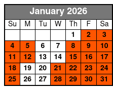 2 Hour Dolphin Tour and Speedboat Ride January Schedule