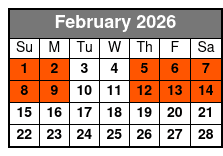 2 Hour Dolphin Tour and Speedboat Ride February Schedule