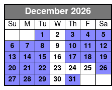 2 Hour Dolphin Tour and Speedboat Ride December Schedule