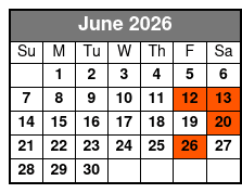 Starlite Sapphire Sightseeing, Lunch, & Dinner Cruises of St Petersburg June Schedule