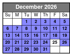 Dolphin Watch Cruise with Snorkeling to Shell Key December Schedule