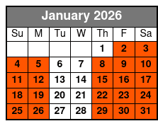 St. Pete Beach Dolphin Racer Speedboat Adventure January Schedule