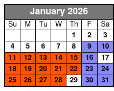 Saint Petersburg Paddle Board Tour January Schedule