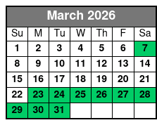 Tampa Indoor Skydiving Experience with 2 Flights & Personalized Certificate March Schedule