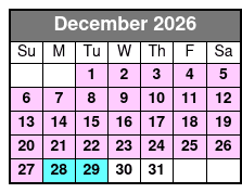 Tampa Indoor Skydiving Experience with 2 Flights & Personalized Certificate December Schedule