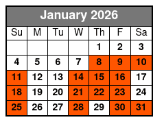 St. Petersburg Jungle Prada Site History Tour January Schedule