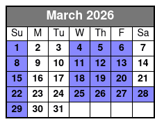 St. Petersburg Jungle Prada Site History Tour March Schedule