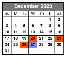 St Petersburg Scenic Segway Tour December Schedule