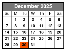 Led Illuminated Night Tours December Schedule