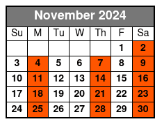 The Skyway Tour November Schedule