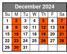 The Skyway Tour December Schedule