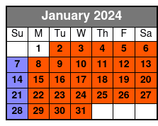 eBike Rentals Through Pedego Tampa January Schedule