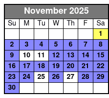 Shell Key Clear Kayak Glow in the Dark Tour November Schedule