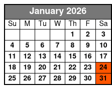 Kayak Adventure of Shell Key Preserve & Island with a Local January Schedule