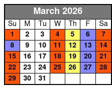 St Pete Awesome Mural Biking Tour March Schedule