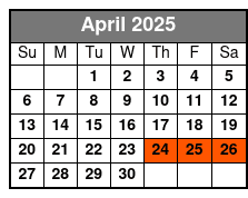 St Pete History and Heritage Biking Tour with Lunch April Schedule