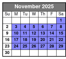 Tampa Kayak Tour at Shell Key with Capt Yak November Schedule