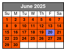Dolphin Sightseeing Cruise Aboard the Dolphin Quest June Schedule