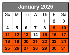 Glow in the Dark Clear Kayak January Schedule