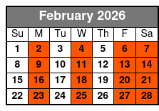 Electric Bike Guided City Tour February Schedule