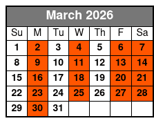 Electric Bike Guided City Tour March Schedule