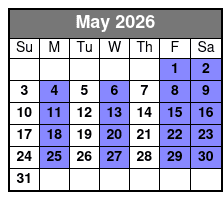 Electric Bike Guided City Tour May Schedule