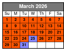 1-Hour Dolphin Sightseeing Adventure Cruise from Madeira Beach March Schedule