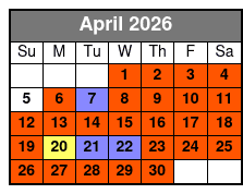 Half Day Fishing Experience from John's Pass in Madeira Beach, Fl - 5 Hours April Schedule