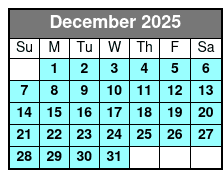 Treasure Island Electric Bike Sunset Tour December Schedule