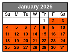 Rowdy Bear Pigeon Forge Snow Tubing January Schedule
