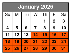 Wild Stallion Alpine Mountain Coaster Pigeon Forge Coaster January Schedule