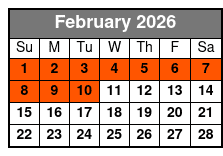 Megaverse VR February Schedule