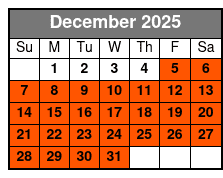 4 Hour 2 Seater Slingshot December Schedule